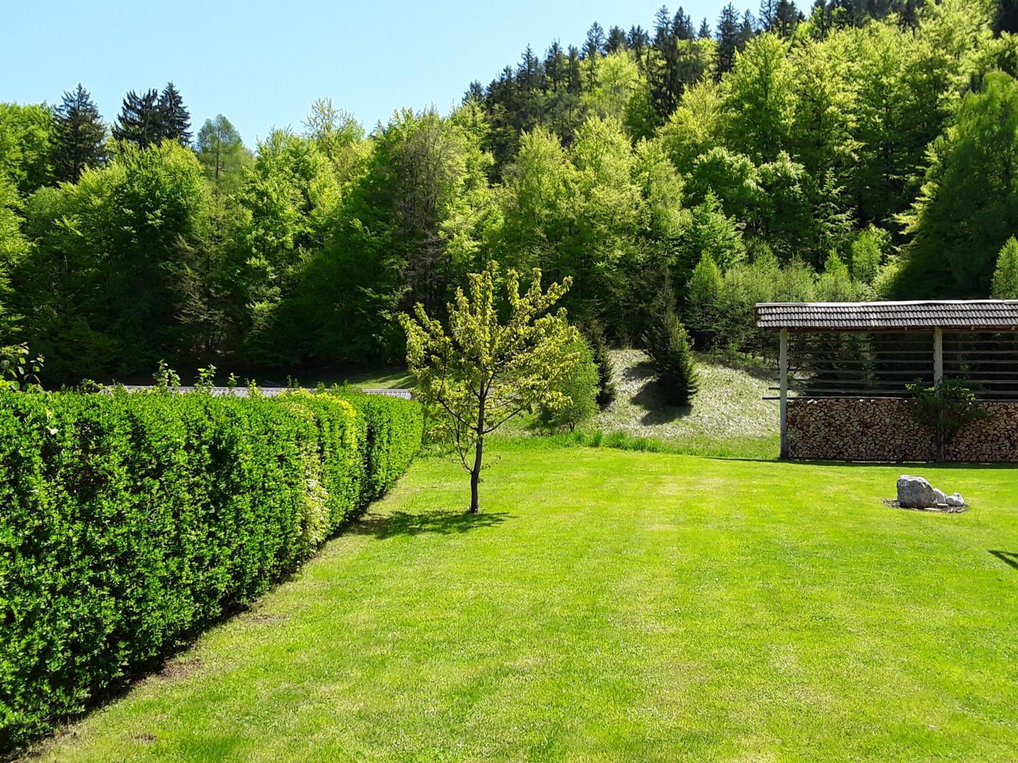 Apartment Natur Bled Buitenkant foto