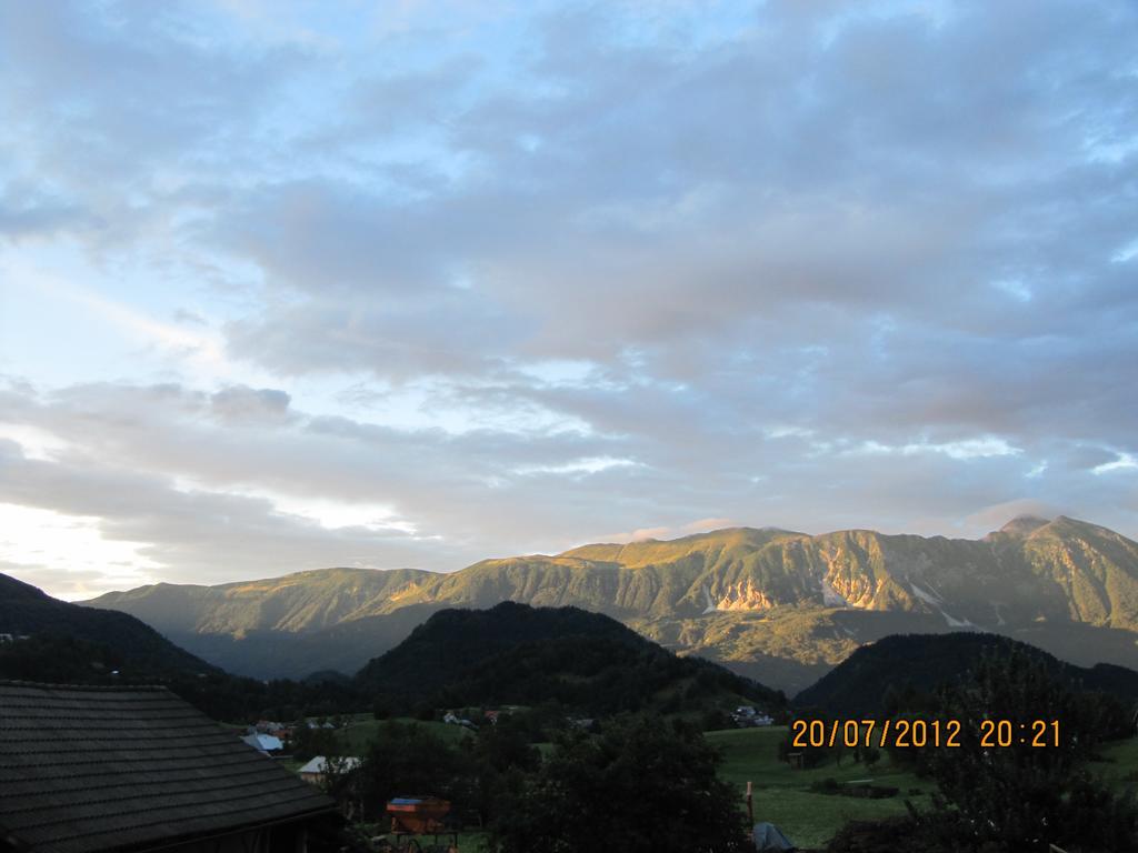 Apartment Natur Bled Buitenkant foto